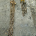 928507-1 Two lifting chains