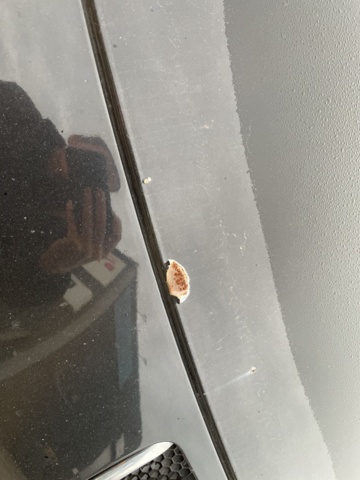 768269-25 Peugeot Partner Van 1.6 HDi - 2008