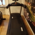 862044-1 Treadmill Pulse Fitness 260G
