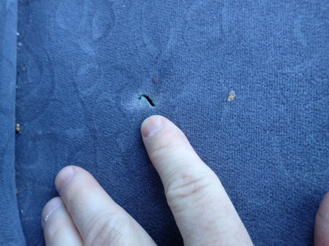 862051-77 Toyota Yaris 5-door 1.0 VVT-i - 2000