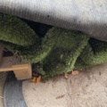 917595-3 Artificial grass roller and large chain