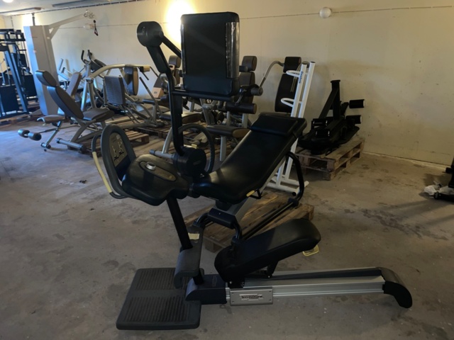 768268-3 Stretching machines Technogym Flexability Posterior & Flexability Anterior