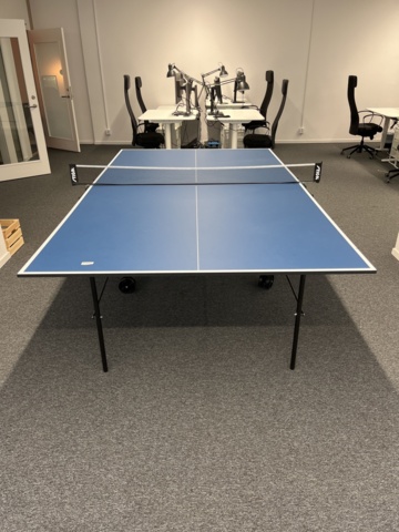 868894-1 Rise ping pong table