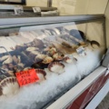 927171-15 Fiskvagn Floda Verken FVB8500