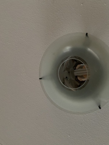 887294-5 Oval exhibition podium with lighting