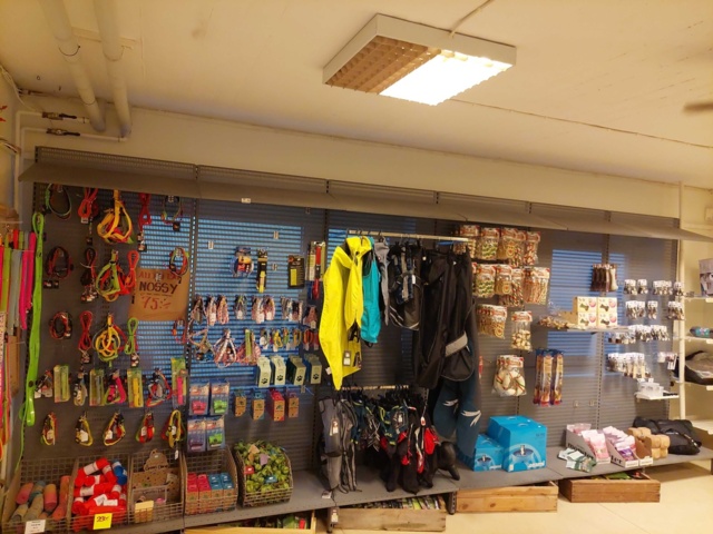 880893-1 Store department Dog collars, pool, dog treats etc