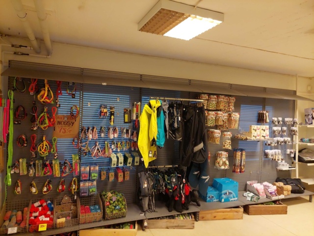 880893-2 Store department Dog collars, pool, dog treats etc