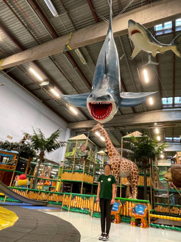 965732-1 Mega Shark / Shark 6.3 Meters Long