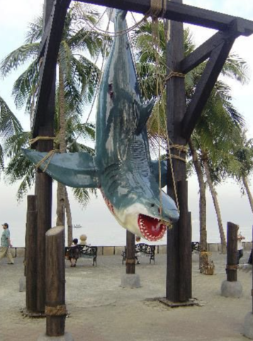 965732-15 Mega Shark / Shark 6.3 Meters Long