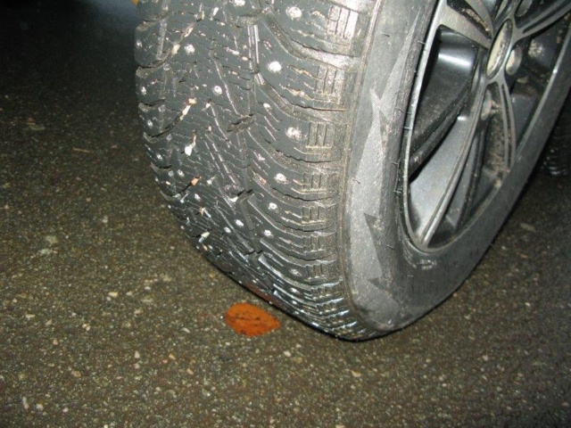 805777-10 Horse trailer MAXIMUS 2.0 HUMBAUR