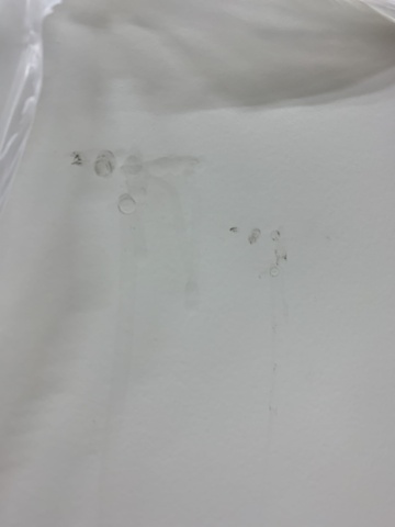 968063-2 Exterior door Swedoor P-100 White 10X20 Right