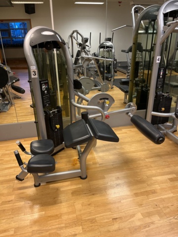 962358-2 Matrix Prone Leg Curl