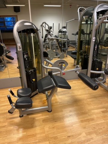 962358-4 Matrix Prone Leg Curl