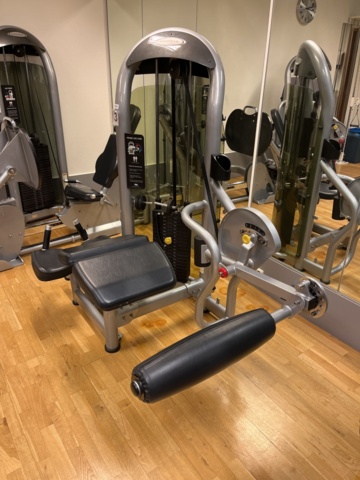 962358-5 Matrix Prone Leg Curl