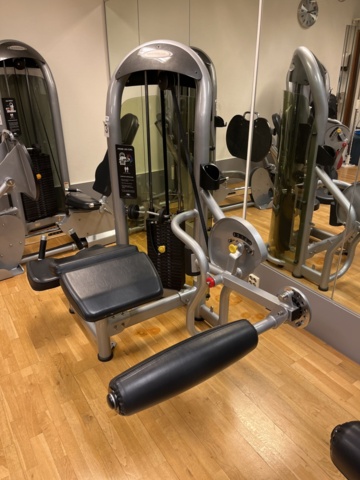 962358-3 Matrix Prone Leg Curl