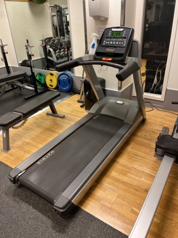 962371-3 Matrix Treadmill