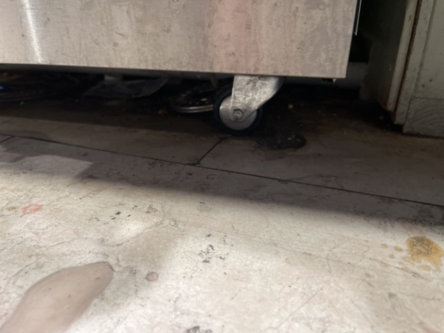 962426-6 Display fridge Tecfrigo Innova 500