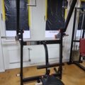 955939-1 Nordic gym back machine