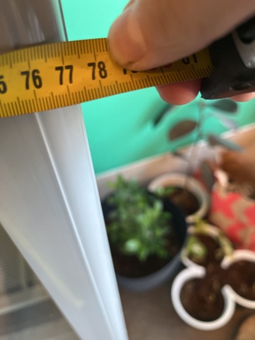 962498-8 Adexa freezer SF600G