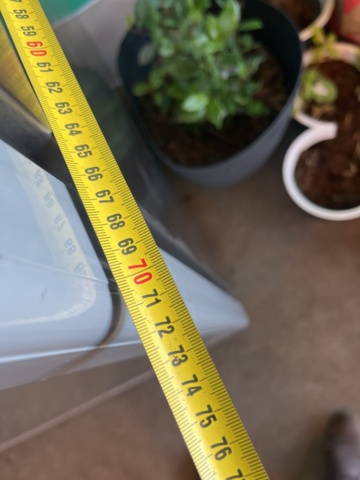 962498-9 Adexa freezer SF600G