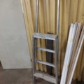 882015-2 Ladder and fluorescent tube