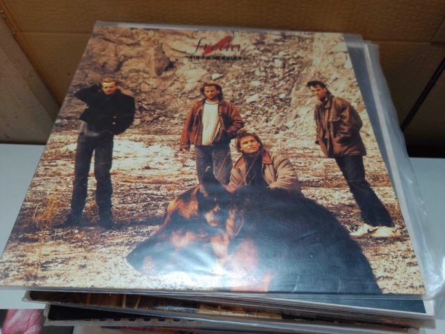 887951-5 Large LP record collection, approx. 65 records