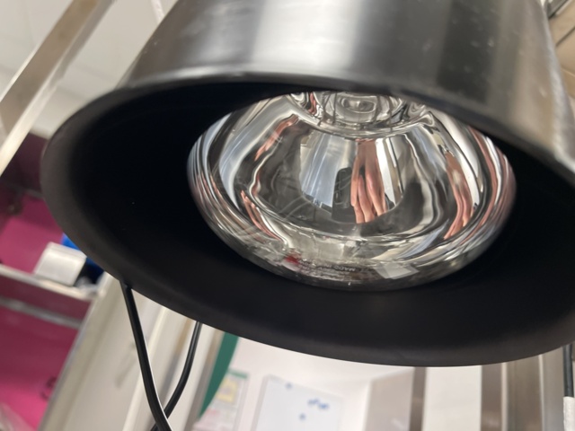 962526-5 Heating lamps StayHot 2 pieces