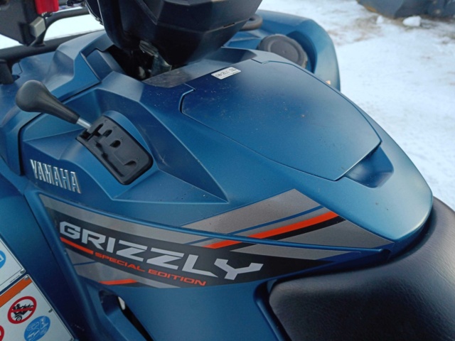 928743-31 Fyrhjuling Yamaha Grizzly YFM700 EPS -2019