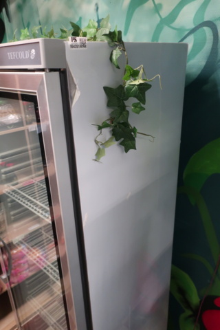 954351-3 Freezer, display, Tefcold UF400 VSG P