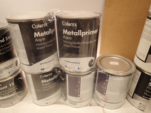 862250-12 Colorex paint