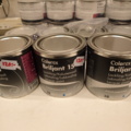 862250-22 Colorex paint