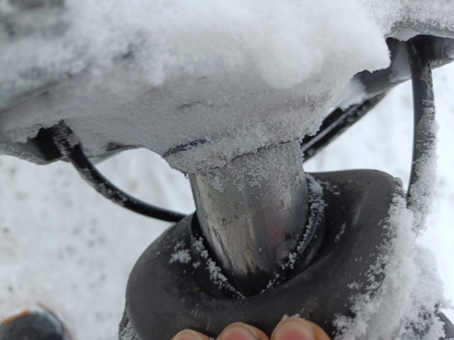 928751-9 Trailer Tiki CP650-RB -2016