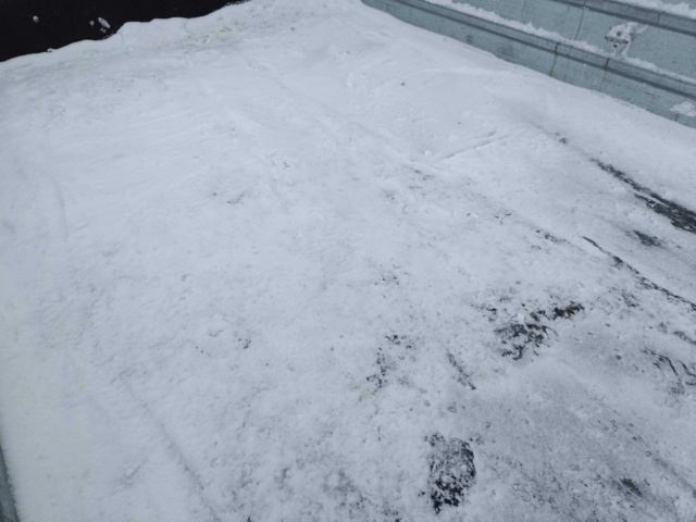 928751-39 Trailer Tiki CP650-RB -2016