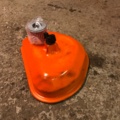 984757-20 Honda CRF450R