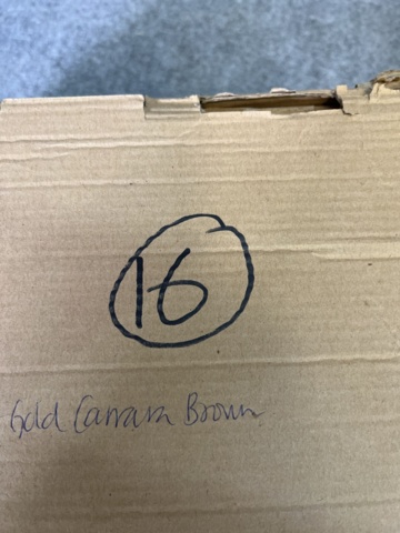 962658-15 Abbot & Mosley Watches approx. 550 pieces