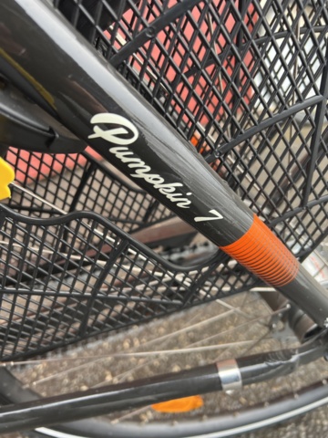 982582-6 Cycle Naits Pumpbin 7