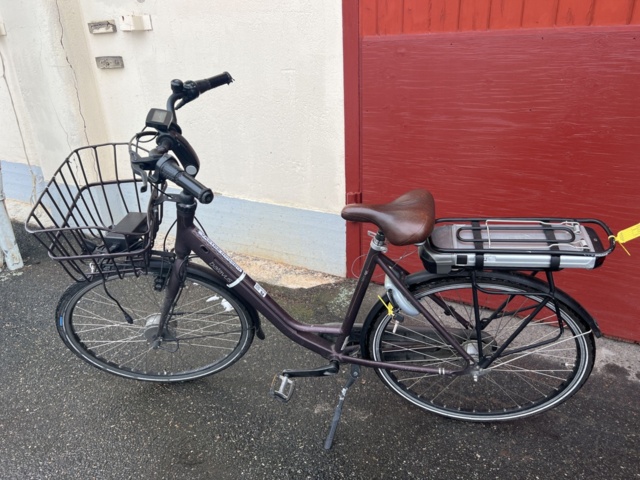 batavus electric bike