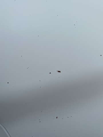 931826-18 Mercedes-Benz Vito 113 CDI TouchShift - 2013