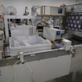 987574-6 Packaging machine Multivac R7000 - 1998