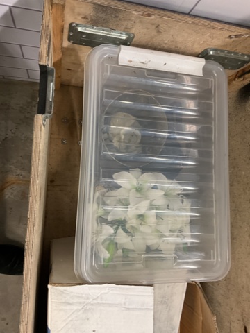 961733-5 2 pcs. stage boxes on wheels