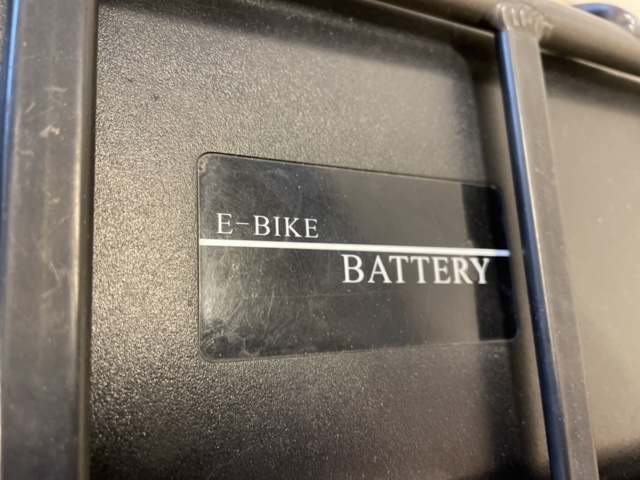 862317-12 Electric bicycle Svea Blvd-e. 2020