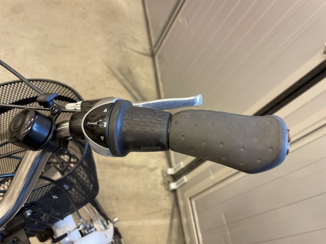 862317-18 Electric bicycle Svea Blvd-e. 2020