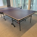 956186-1 Ping-pong table