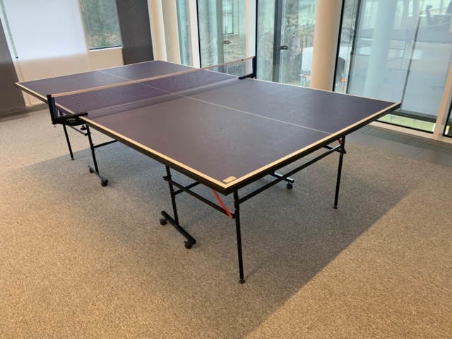 956186-1 Ping-pong table