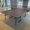 956186-2 Ping-pong table