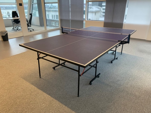 956186-2 Ping-pong table