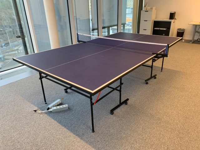 956186-3 Ping-pong table