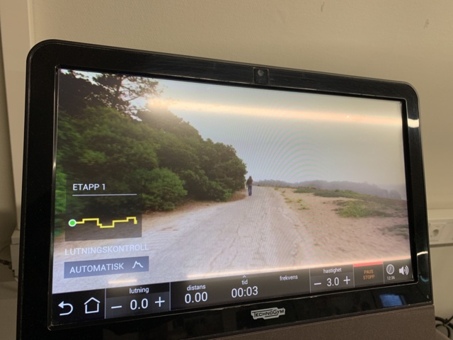 992447-9 Treadmills Technogym Run Artis