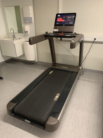 992459-2 Treadmills Technogym Run Artis