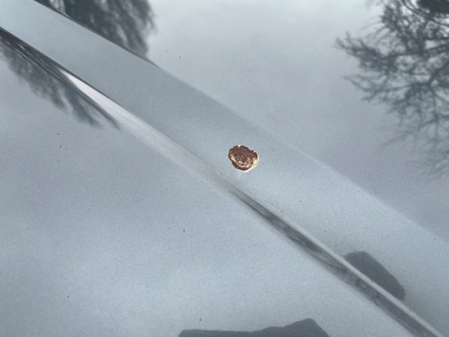 988385-48 Audi A4 Avant 1.8 T quattro -06